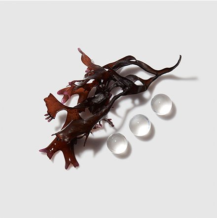 Chronologiste | Kerastase