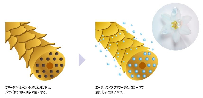 HAIR OIL RESTAGE - ケラスターゼ公式サイト KERASTASE PARIS